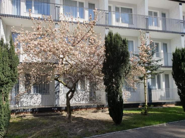 Osrodek Wczasowy Wrzos Łukęcin 外观 照片